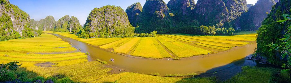 Hoa Lu Tam Coc 1 day tour