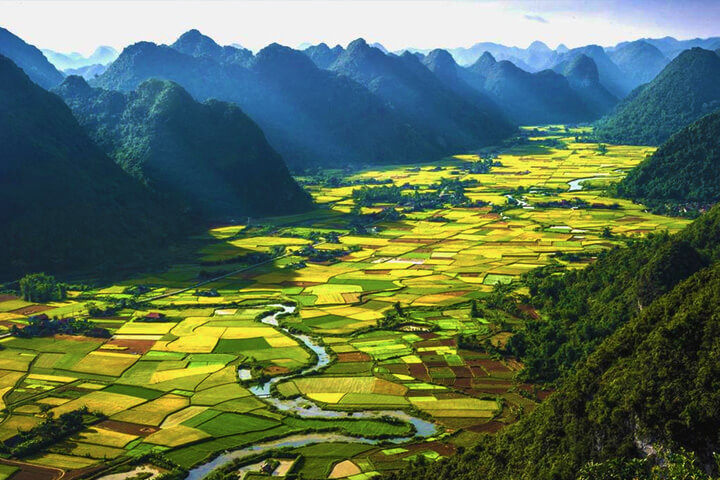 Hoa Lu Tam Coc in harvest season