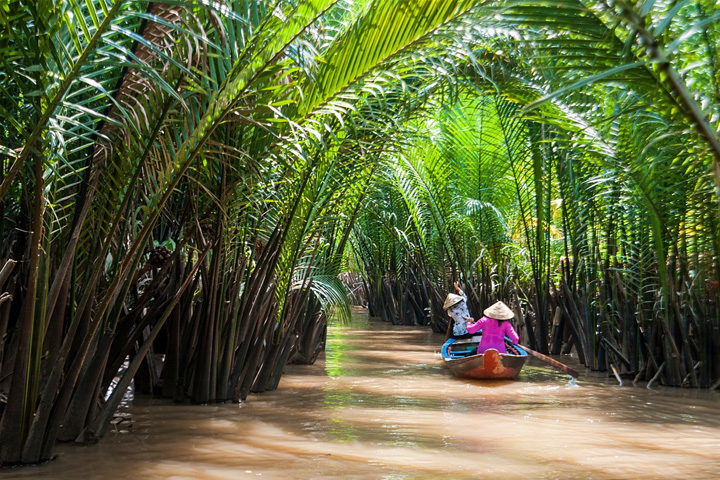 Sailing in creeks Mekong delta 1 day tour