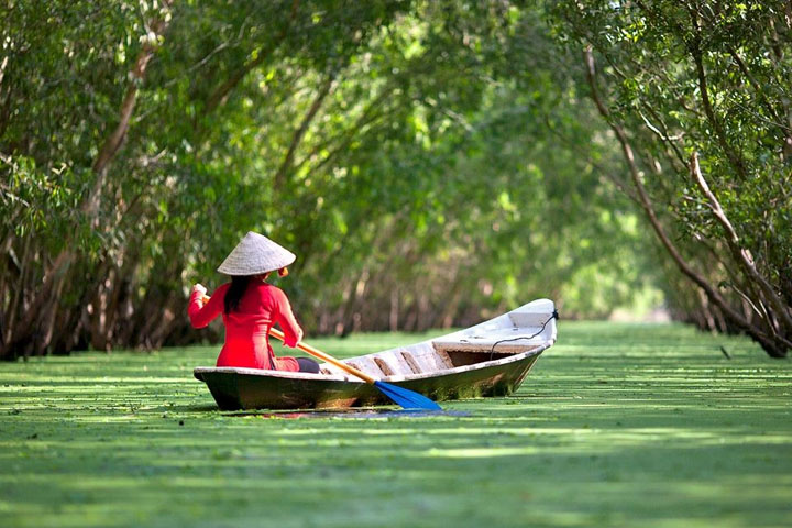 Mekong delta Sailing through creeks