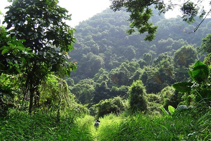 Cat Ba island national park