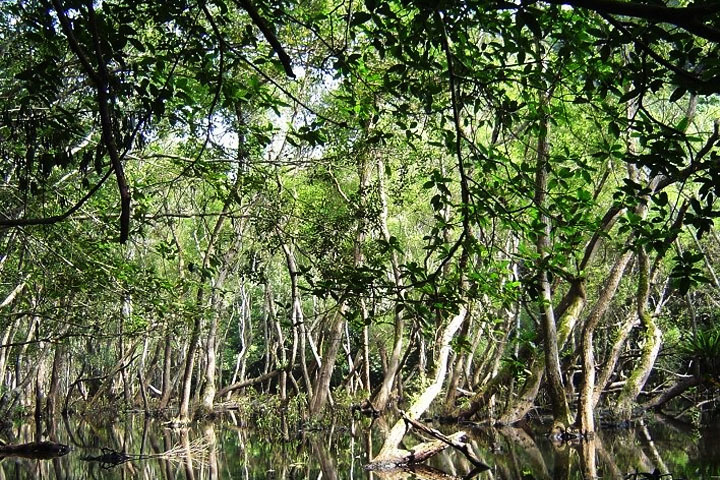 Frog Pond Cat Ba Trekking