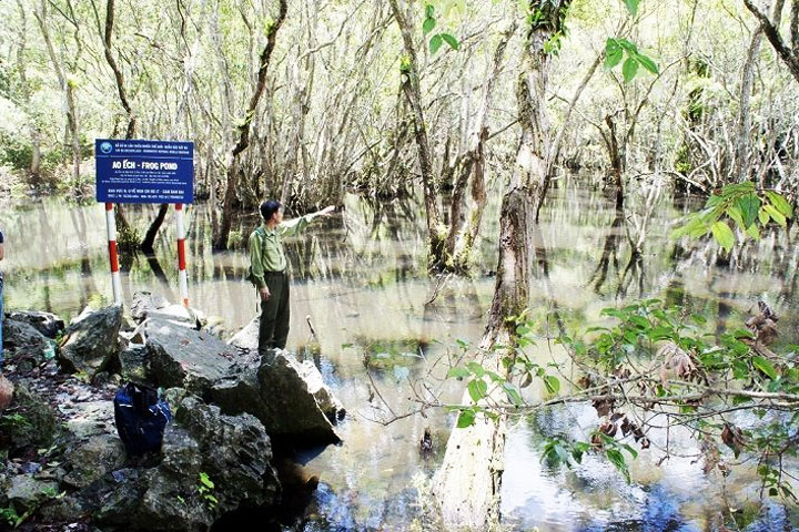 Frog Pond Cat Ba island Trekking