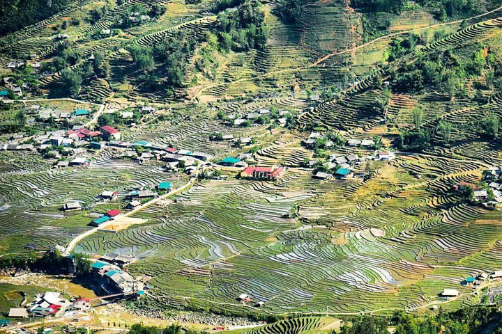 Muong Hoa Valley sapa