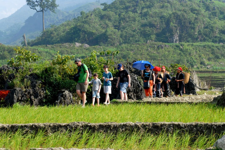 Sapa trekking tours