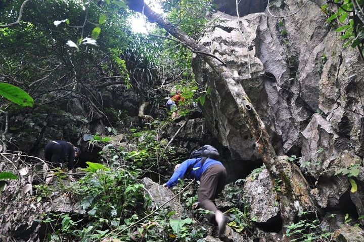 Trekking in Cat Ba island