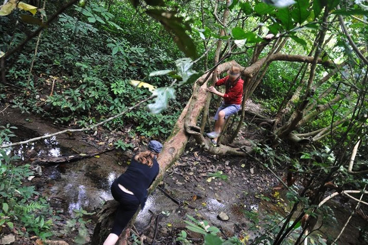 Trekking in Cat Ba