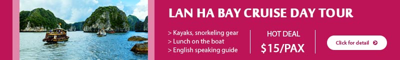 Lan ha bay day cruise