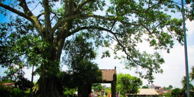 Mong Phu Gate Duong Lam ancient village