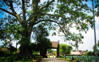 Mong Phu Gate Duong Lam ancient village