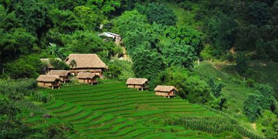 Eco Palms house homestay in Sapa