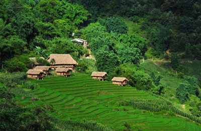 Eco Palms house homestay in Sapa