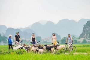 Ninh Binh 2 days tours biking