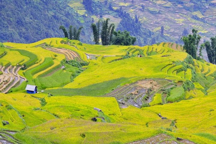 Lao Chai Ta Van